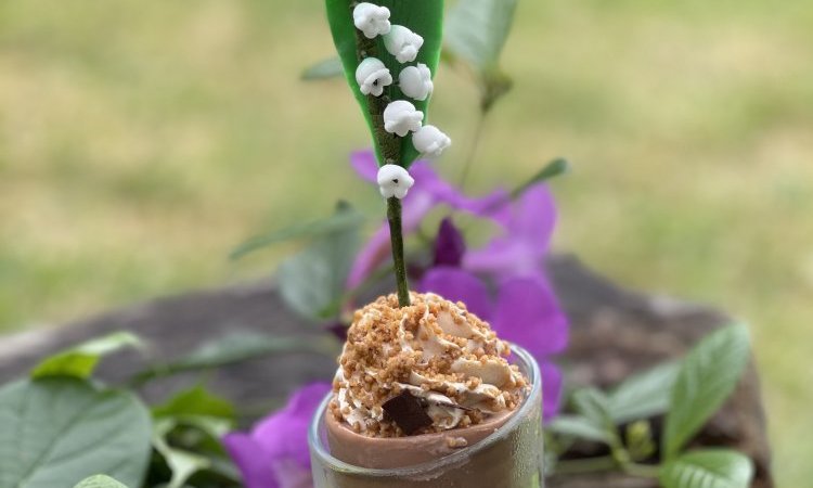 Muguet praliné:biscuit noisette,croustillant chocolat,ganache montée au lait,strudeul noisette,glacage chocolat